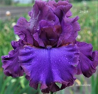 SONGSMITH/СОНГСМИТ